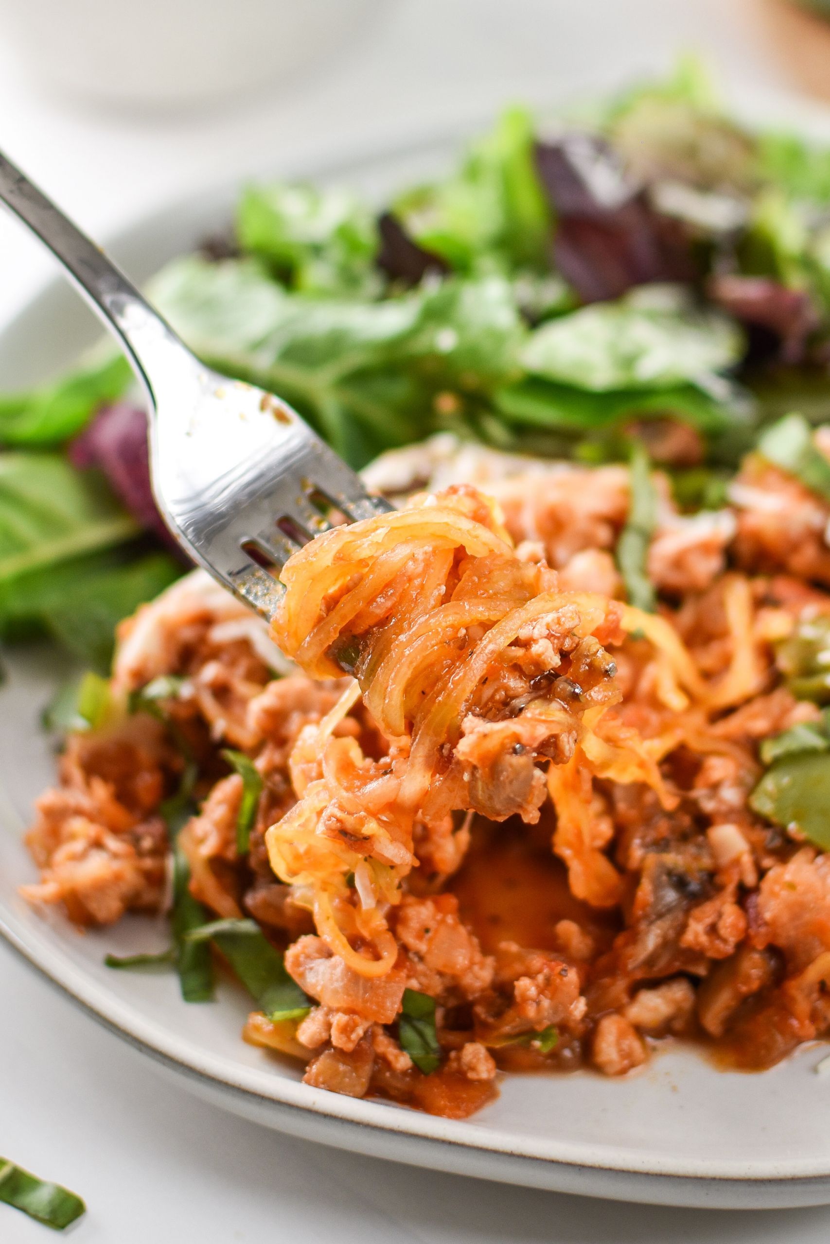 Spaghetti Squash Low Carb
 Low Carb Spaghetti Squash Spaghetti Bake Project Meal Plan