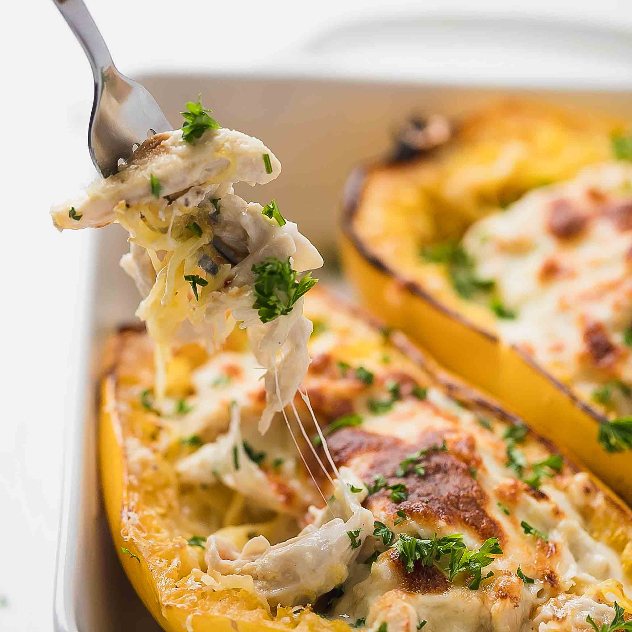 Spaghetti Squash Low Carb
 Chicken Alfredo Spaghetti Squash Low Carb Keto Cooking LSL