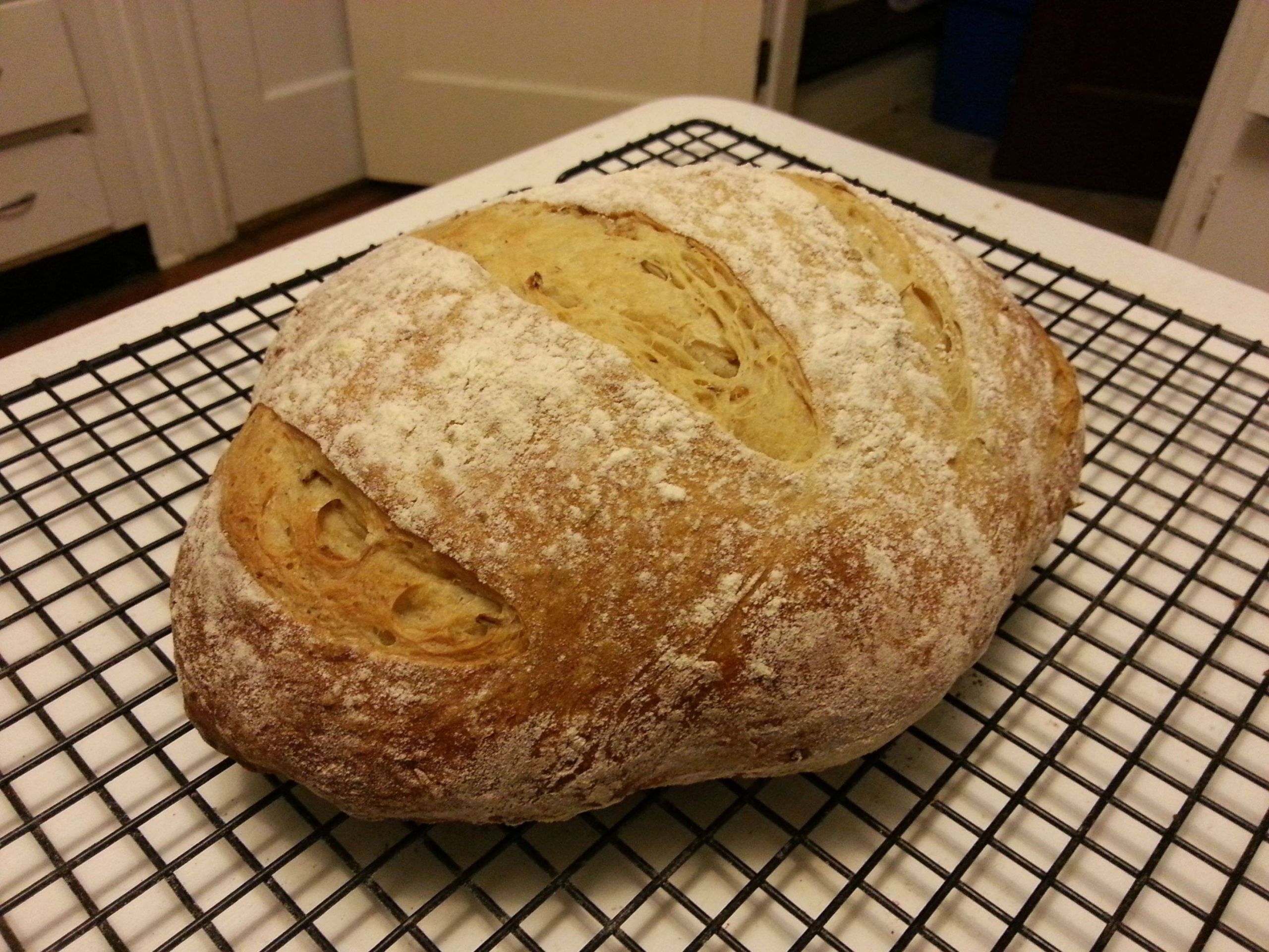 Spent Grain Bread Recipes
 Stupid simple spent grain bread recipe Homebrewing
