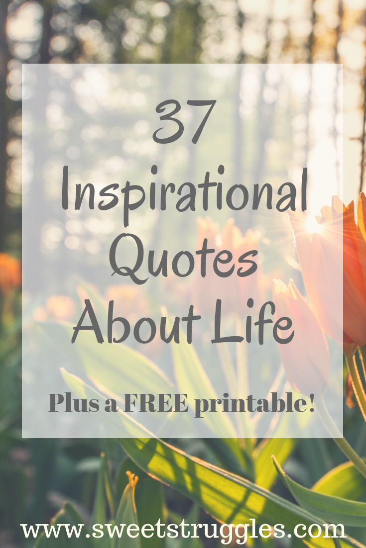 Spiritual Quotes About Life
 Inspirational Life Quotes