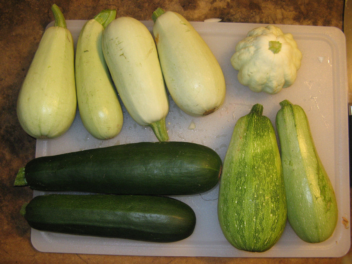 Summer Squash Varieties
 Summer Squash