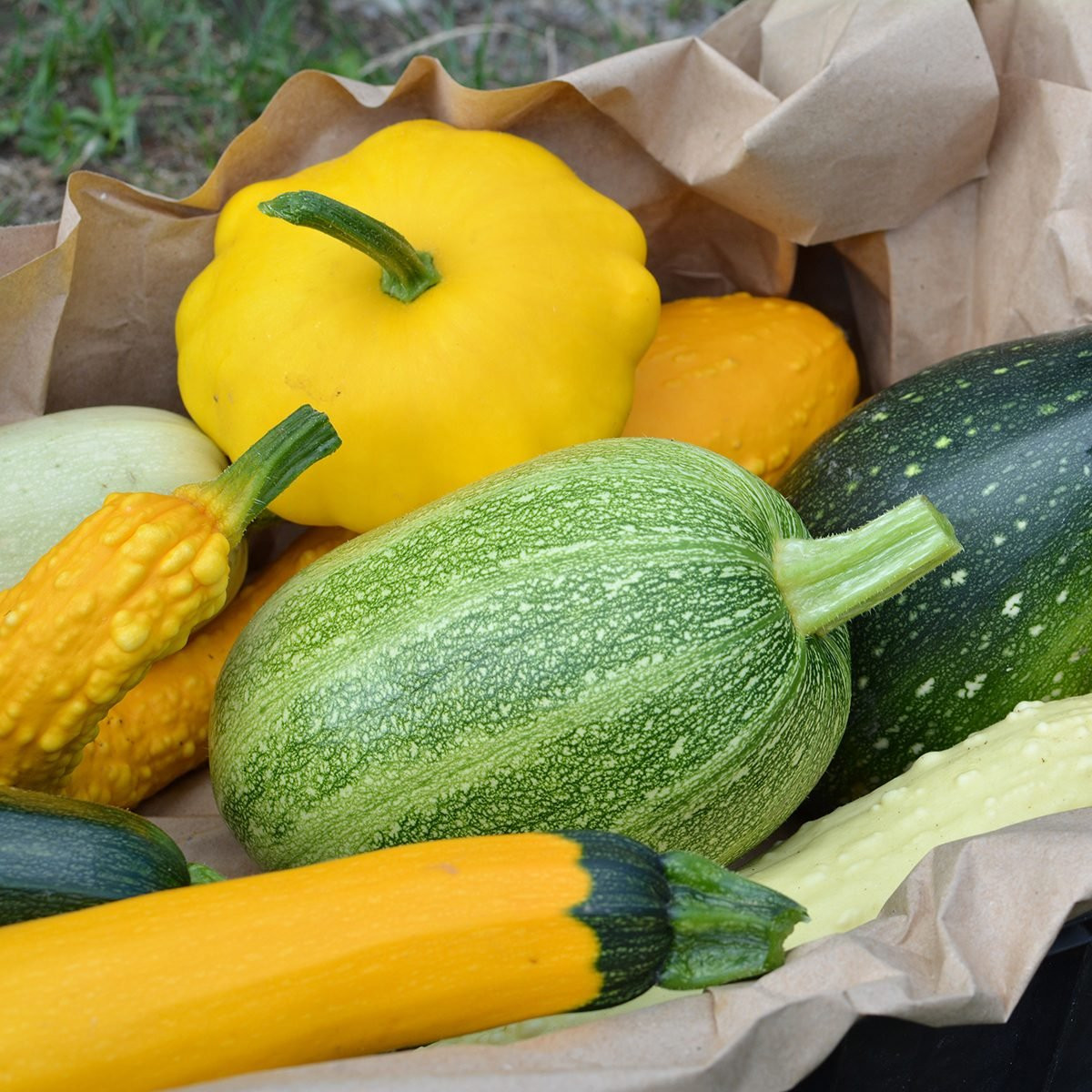 Summer Squash Varieties
 8 Types of Summer Squash and How to Cook Them