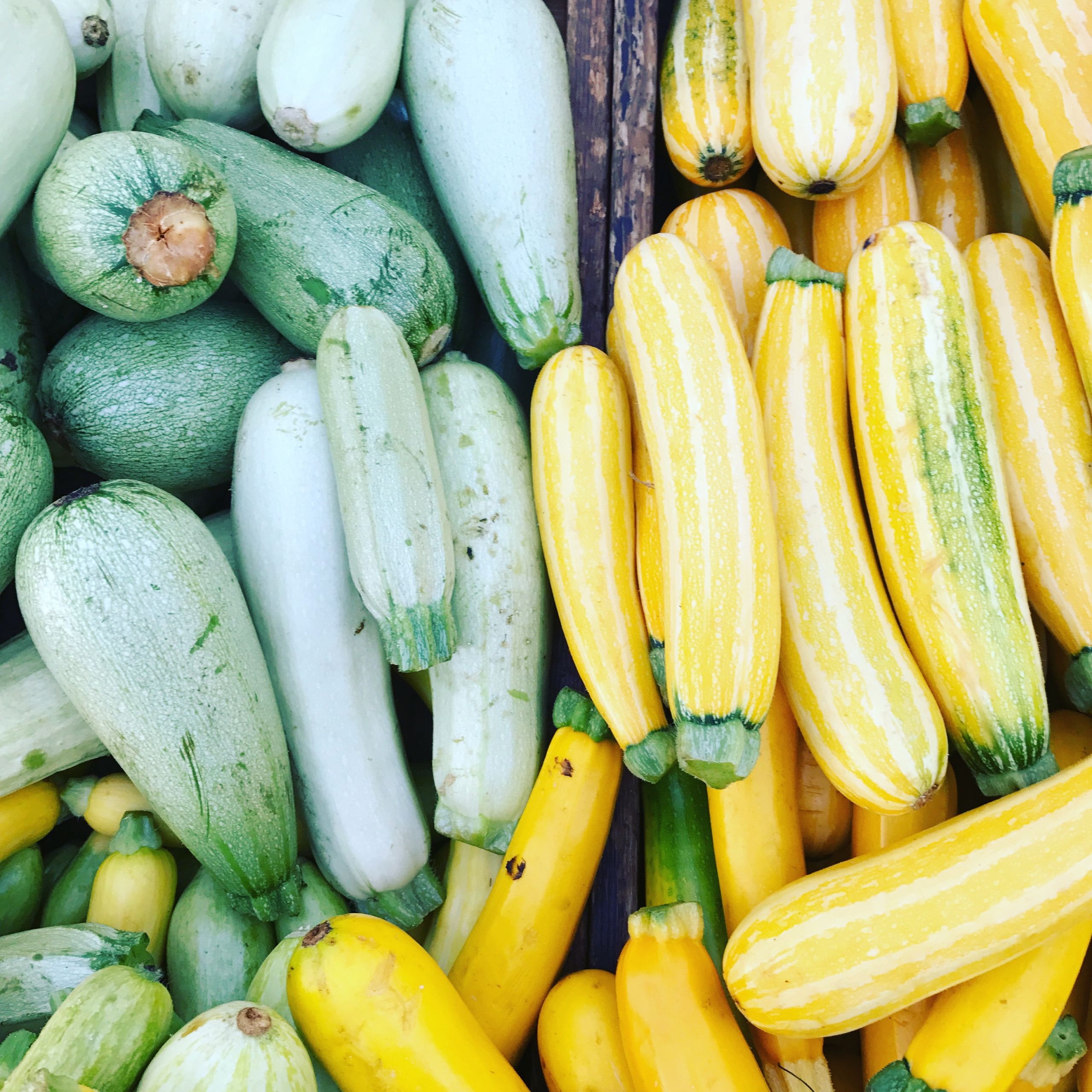 Summer Squash Varieties
 Featured Ingre nt Summer Squash figs & flour