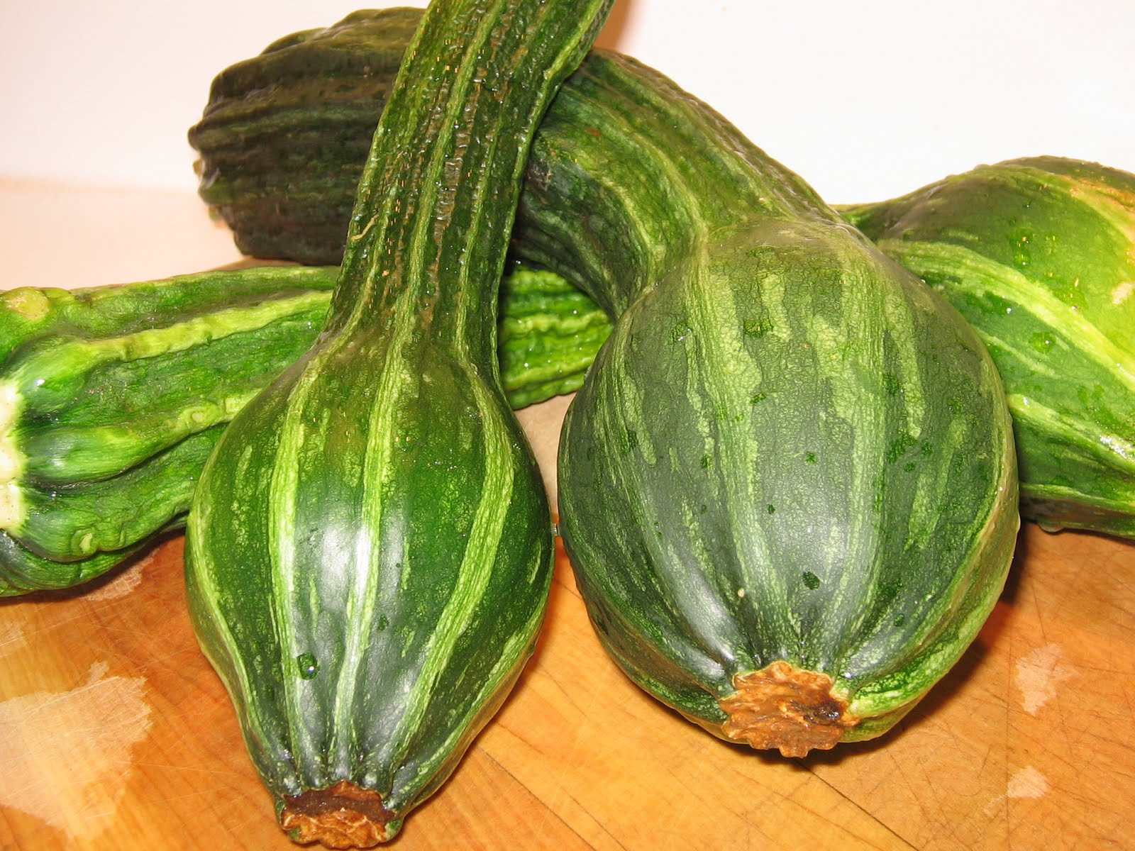 Summer Squash Varieties
 Miz Helen s Country Cottage Squash Squash and More Squash