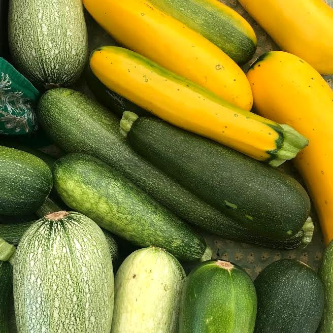 Summer Squash Varieties
 Produce Highlight Oh My Summer Squash Chico