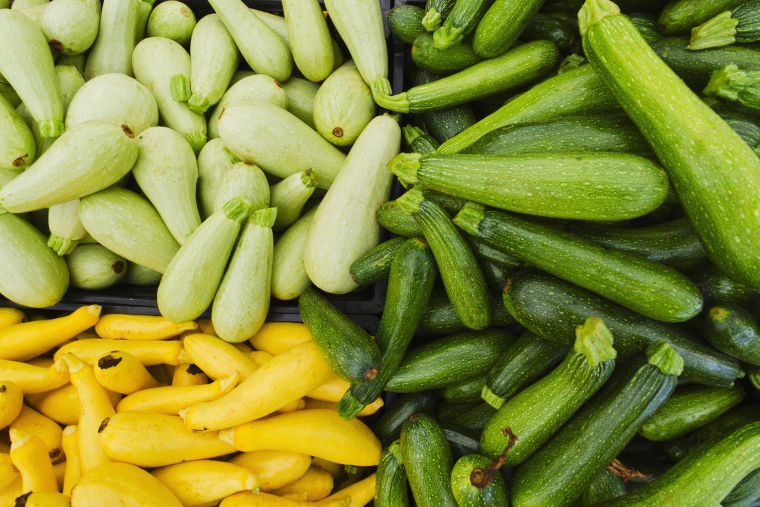 Summer Squash Varieties
 Summer Squash Guide What s What And How To Cook Them PHOTOS