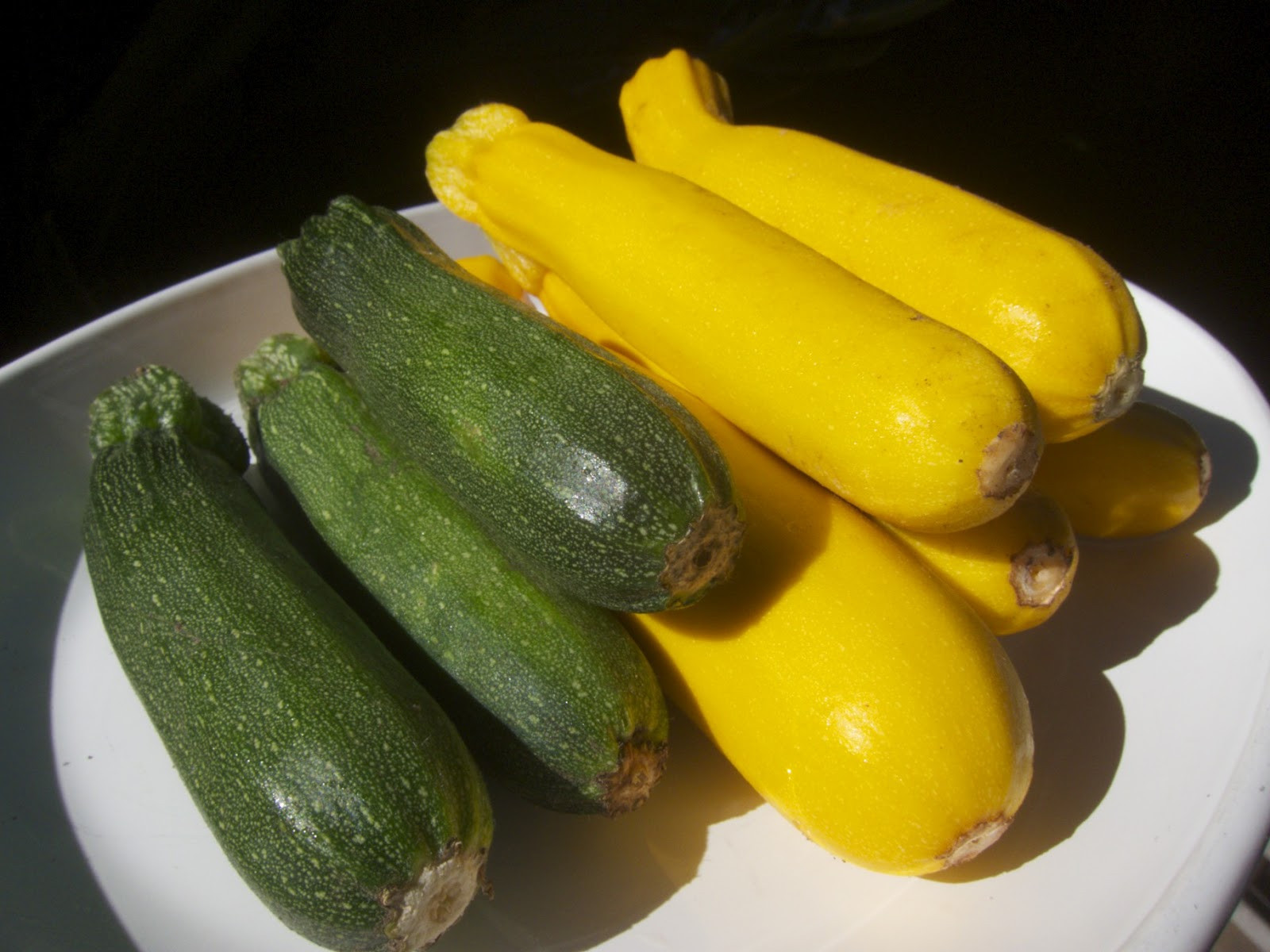 Summer Squash Varieties
 Winter Squash