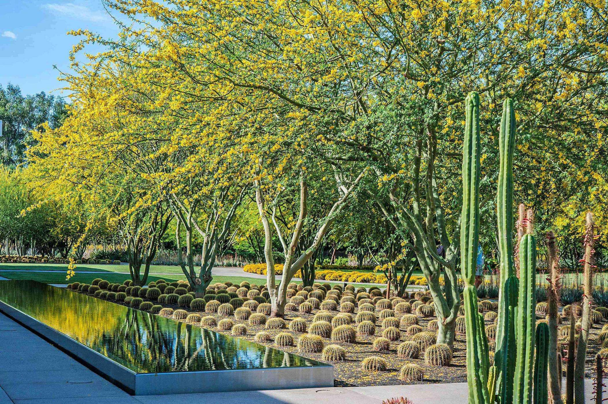 Sustainable Landscape Design
 ASLA features successful sustainable landscape designs