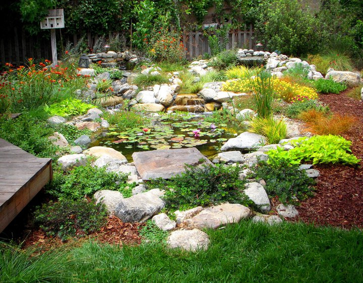 Sustainable Landscape Design
 Uncategorized