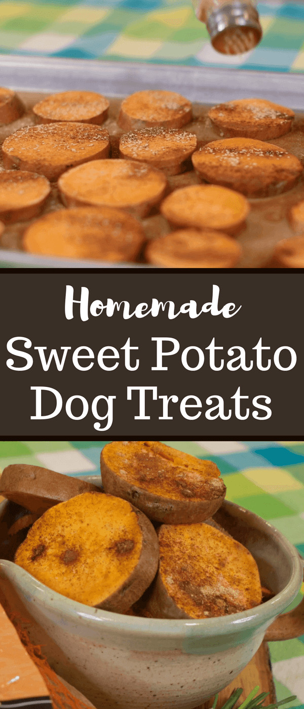 Sweet Potato Dog Treats
 Sweet Potato Dog Treats The Produce Moms