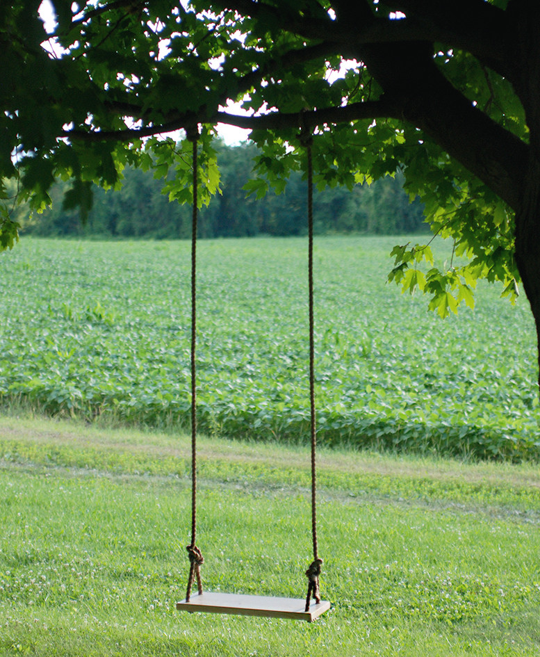 Swings For Trees In Backyard
 DIY Tree Swing The Merrythought