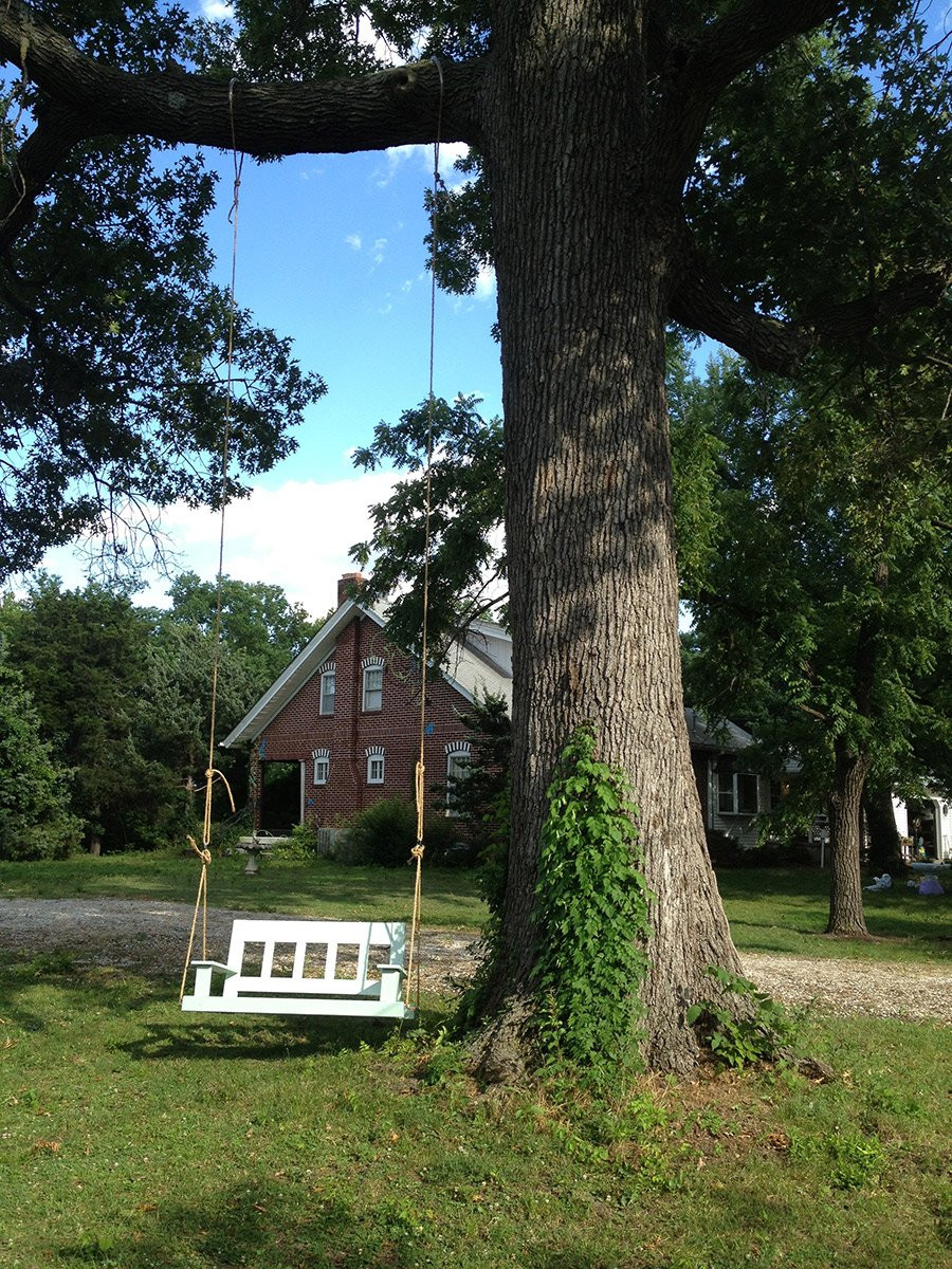 Swings For Trees In Backyard
 Porch Swing in Tree DIY with Plan Hawk Hill