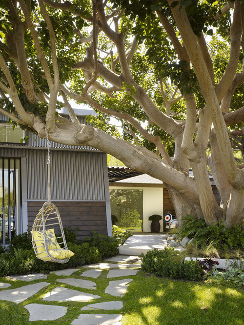 Swings For Trees In Backyard
 Tree Swing