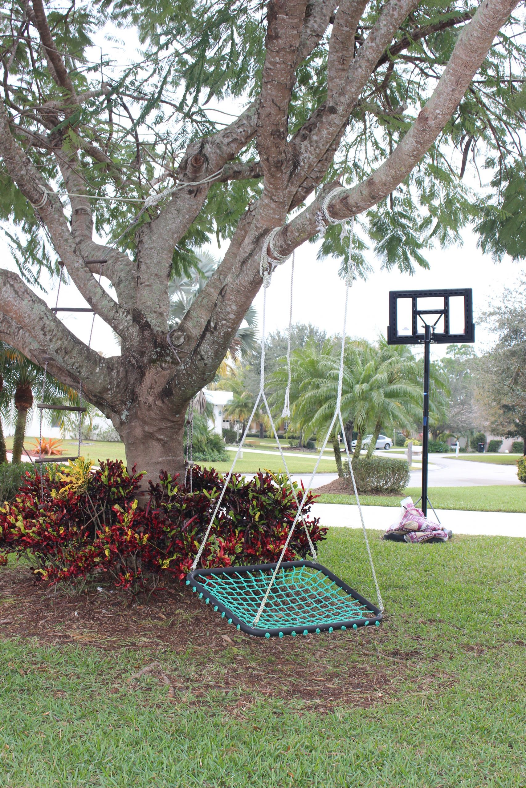 Swings For Trees In Backyard
 Creating a Front Yard Play Space with Tree Swings