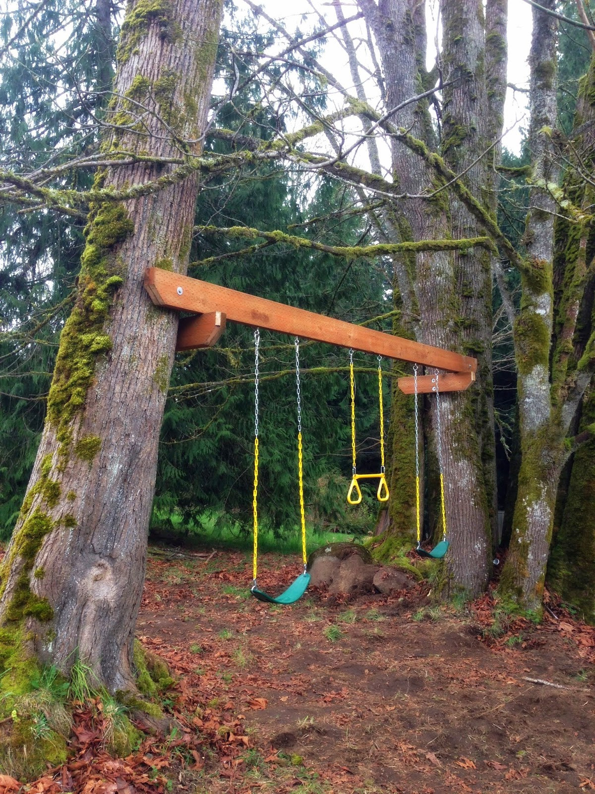 Swings For Trees In Backyard
 The Tuscan Home Tree Swings