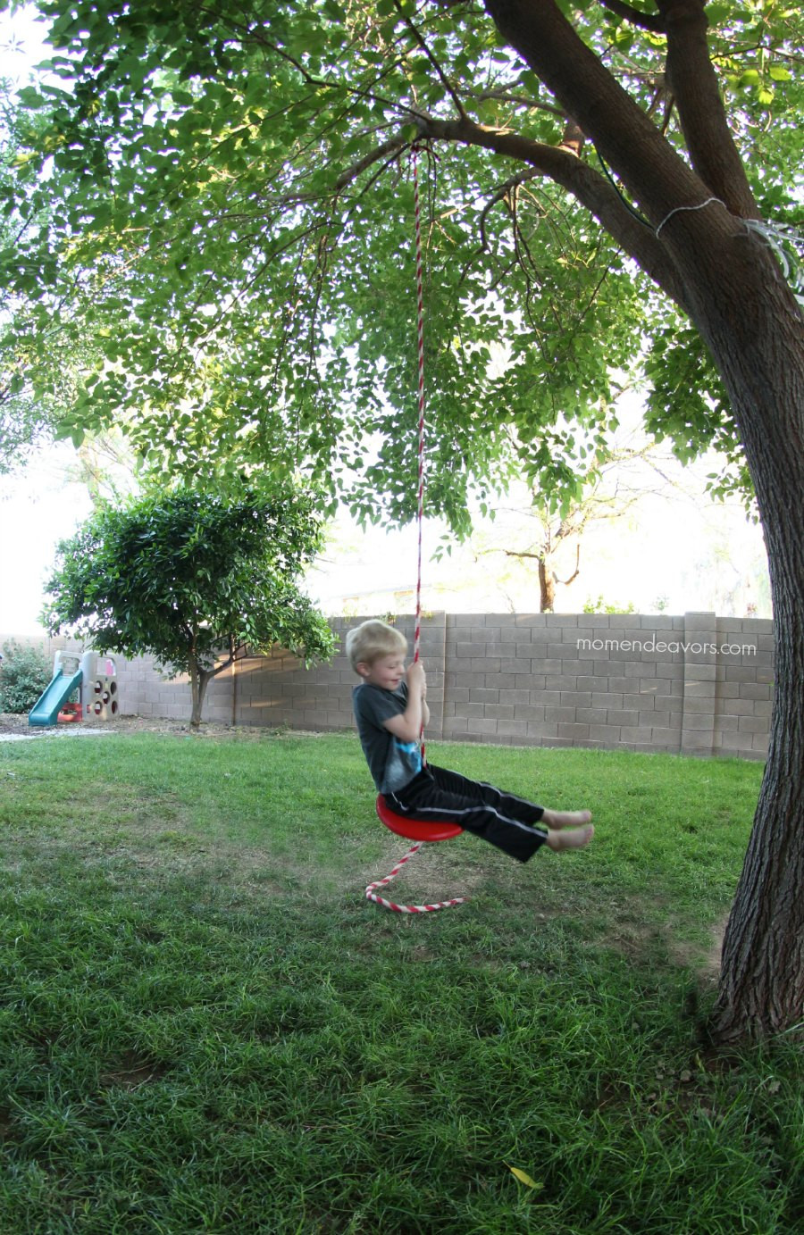 Swings For Trees In Backyard
 Simple DIY Tree Swing