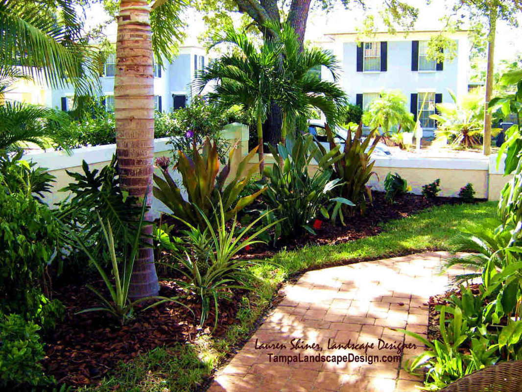 Tampa Landscape Design
 Tropical Escapes and Backyard Makeovers by