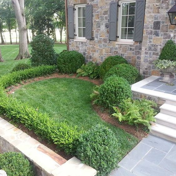 Tampa Landscape Design
 Landscape Design Tampa Landscapers Tampa