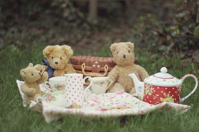 Teddy Bears Tea Party Ideas
 Teddy Bear Tea Party teddy bear tea party picnic