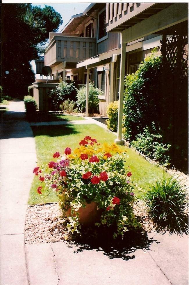 Terrace Landscape Apartment
 Garden Terrace Apartments Apartments Fairfield CA