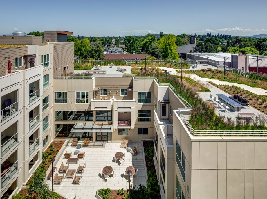 Terrace Landscape Apartment
 Linden Apartments Mixed Use 55 Portland