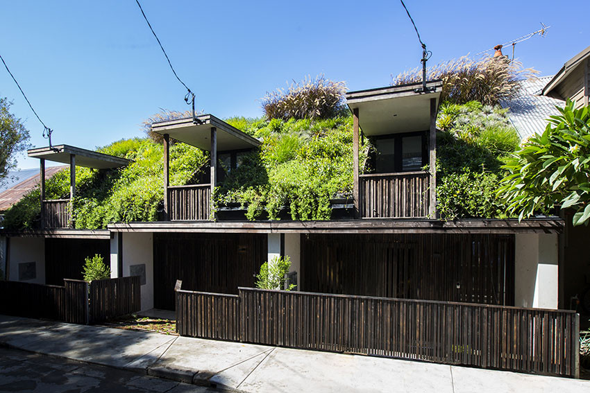 Terrace Landscape Australia
 First ever green roof terrace frontage in Australia