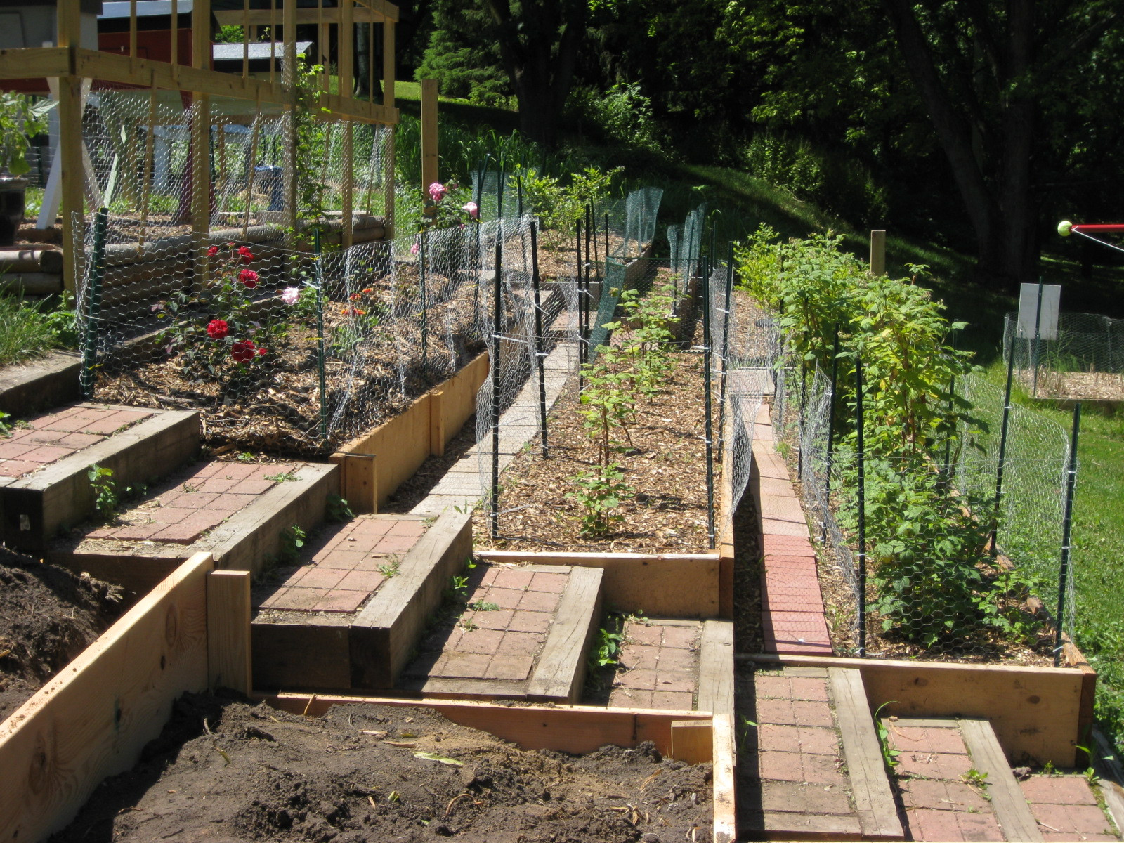 Terrace Landscape Backyard
 Red Bucket Farm Garden Terraces