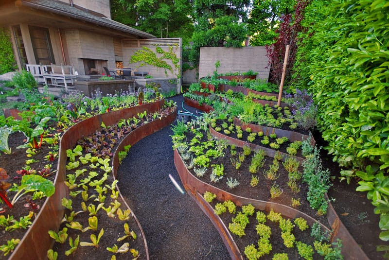 Terrace Landscape Backyard
 How To Turn A Steep Backyard Into A Terraced Garden