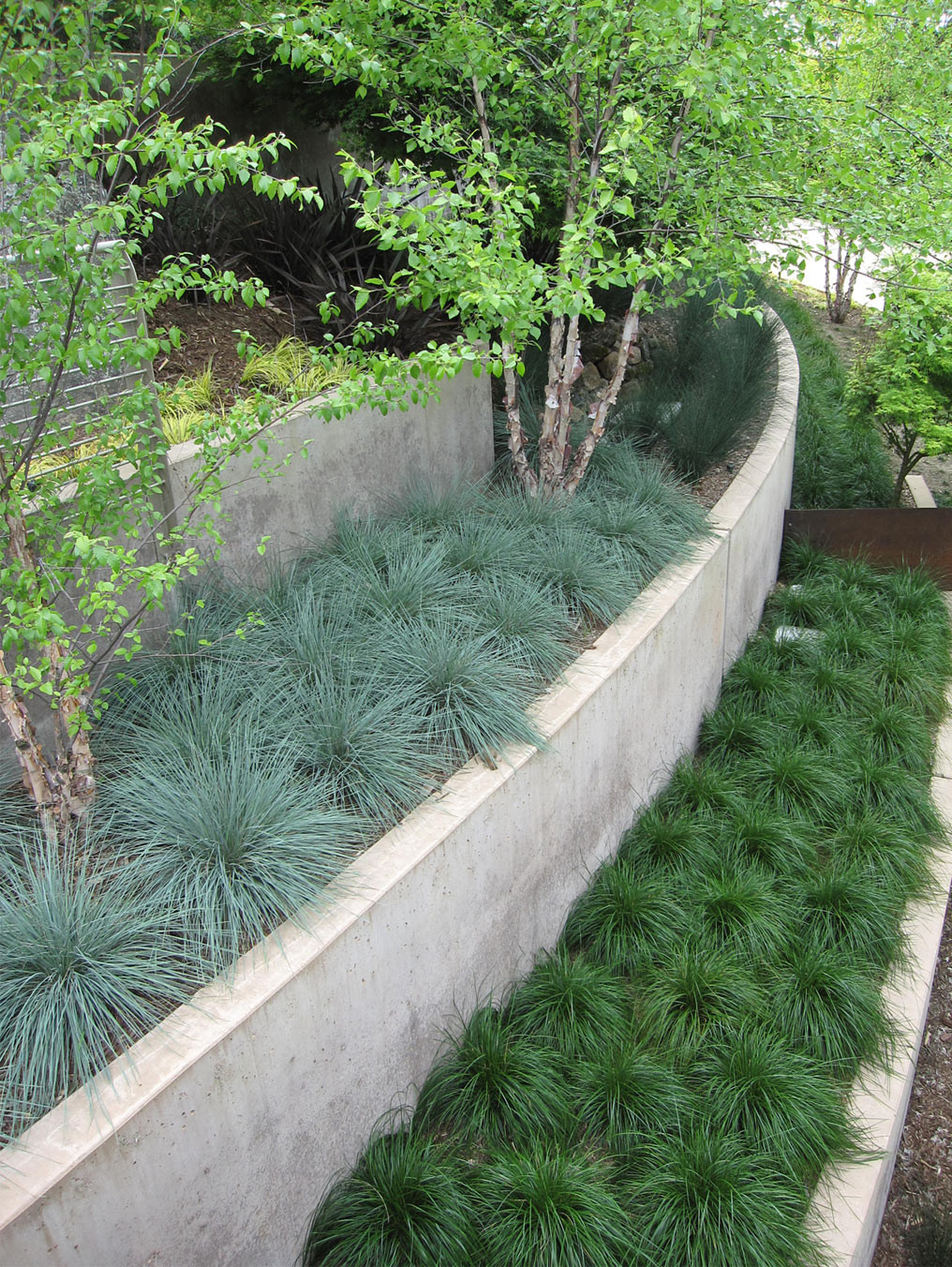 Terrace Landscape California
 Terraced Garden Landscape Architecture Garden Design