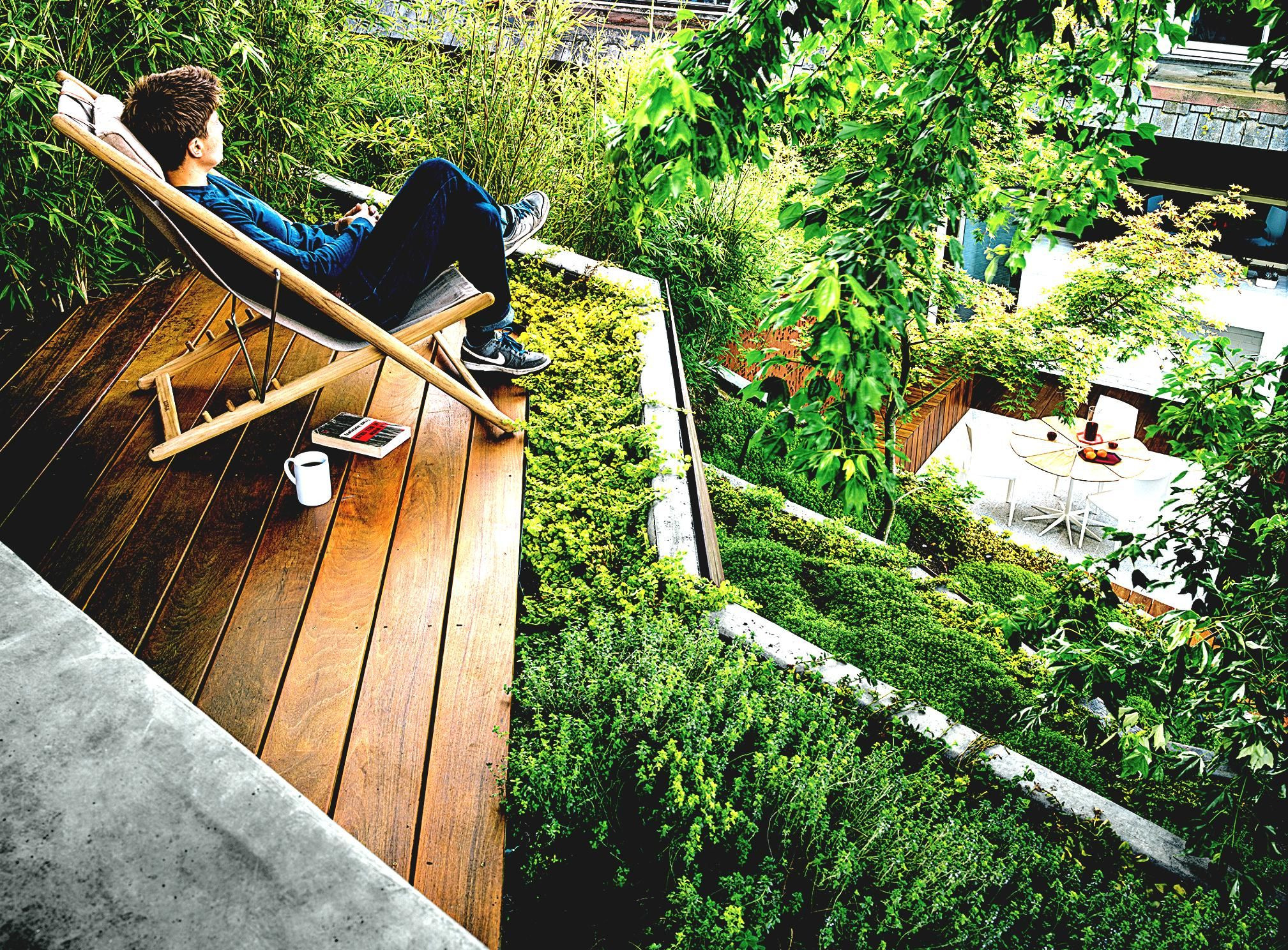 Terrace Landscape California
 Landscape Ideas For Steep Backyard Hill The Garden