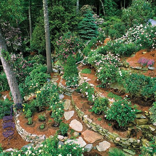 Terrace Landscape Driveway
 75 best Steep Driveway Solutions & Hillside Landscaping