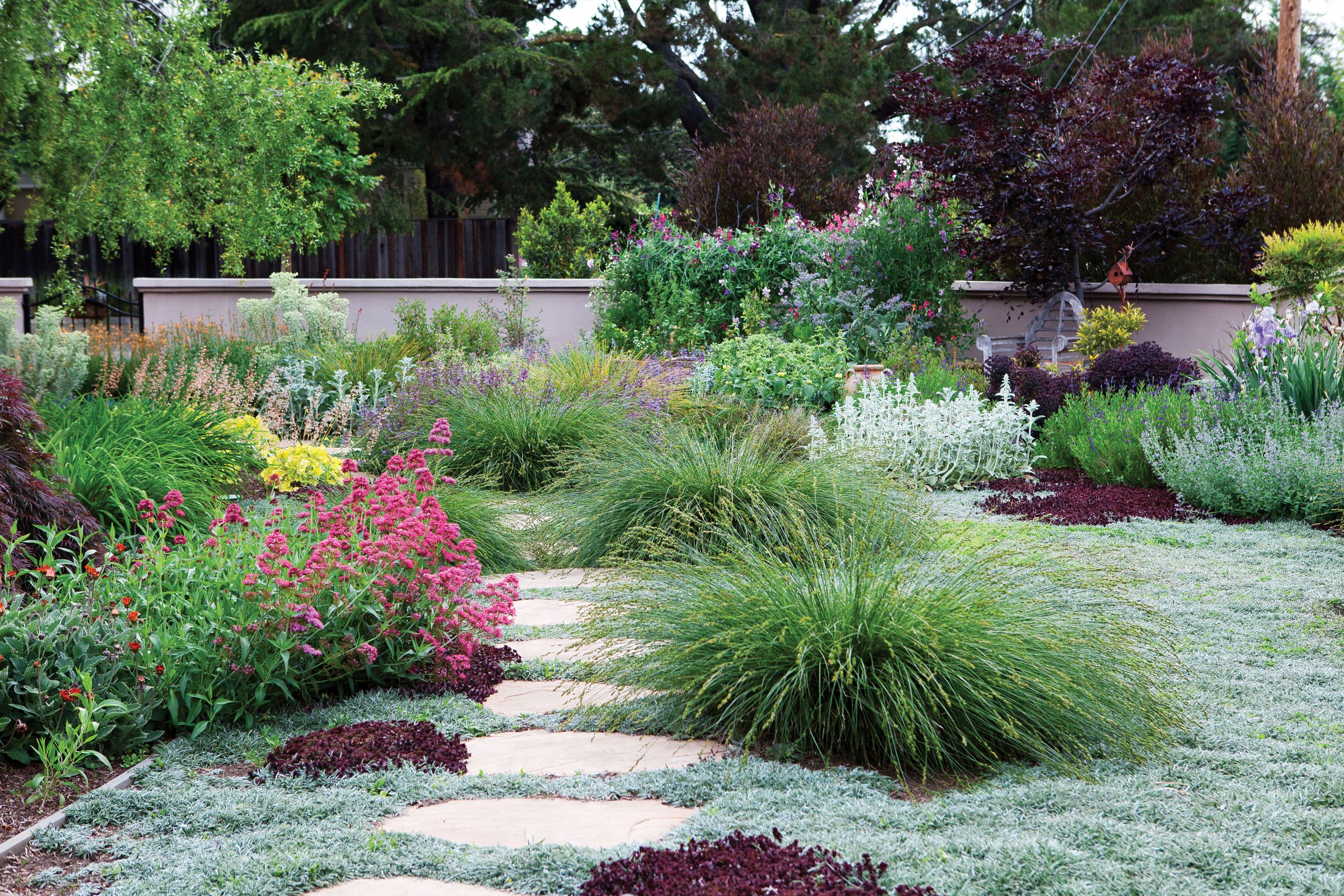 Terrace Landscape Drought Tolerant
 New book highlights drought tolerant garden solutions