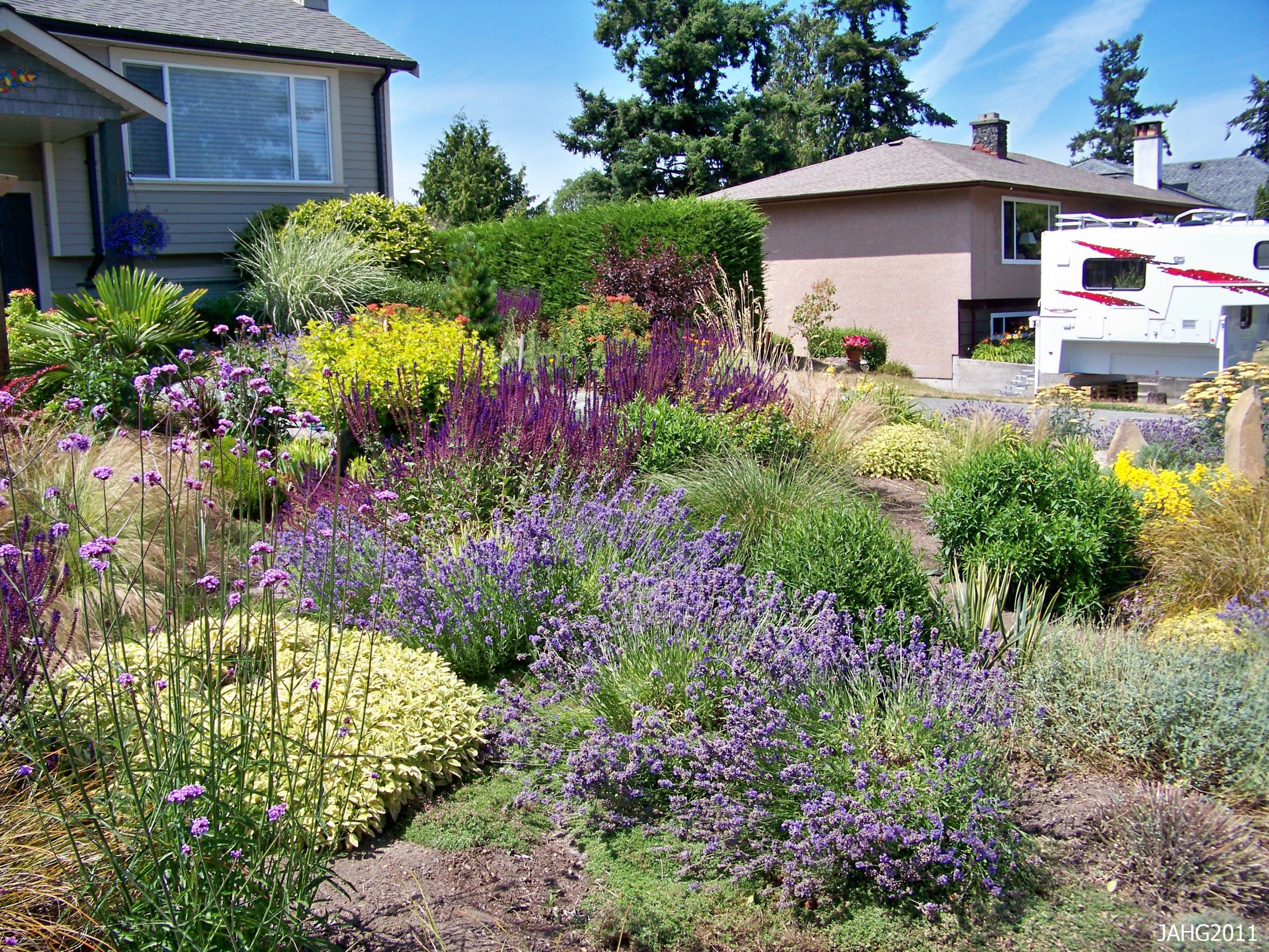 Terrace Landscape Drought Tolerant
 Drought Tolerant