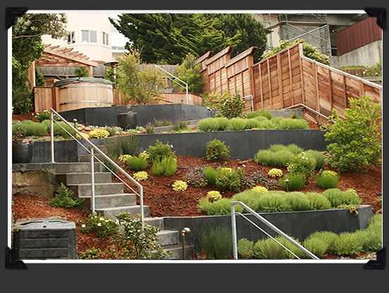 Terrace Landscape Front
 11 best images about Terraced front yard on Pinterest