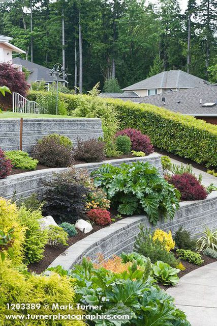 Terrace Landscape Front
 Amazing Examples of Terraced Front Yard Gardens