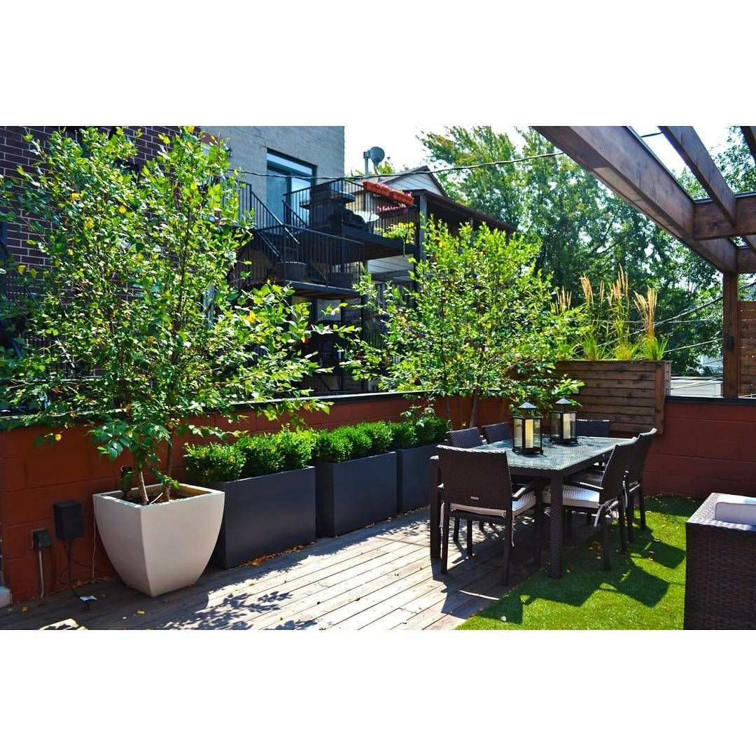 Terrace Landscape Inspiration
 Terrace Garden Inspiration NewYorkCity FlowerMarket