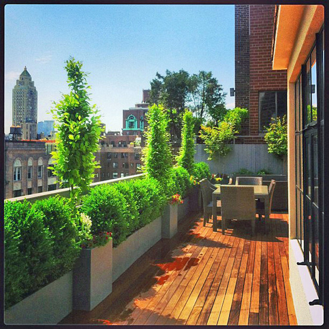 Terrace Landscape Plants
 NYC Rooftop Terrace Roof Garden Deck Outdoor Dining