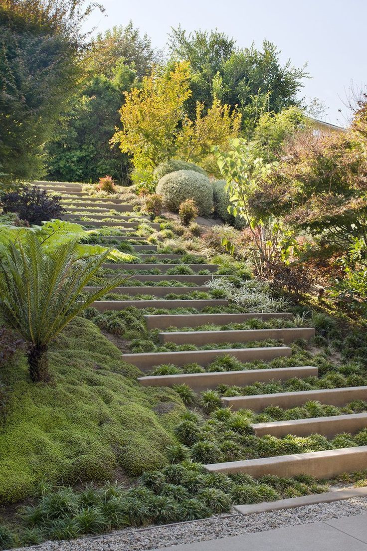 Terrace Landscape Steep
 The 25 best Steep hillside landscaping ideas on Pinterest