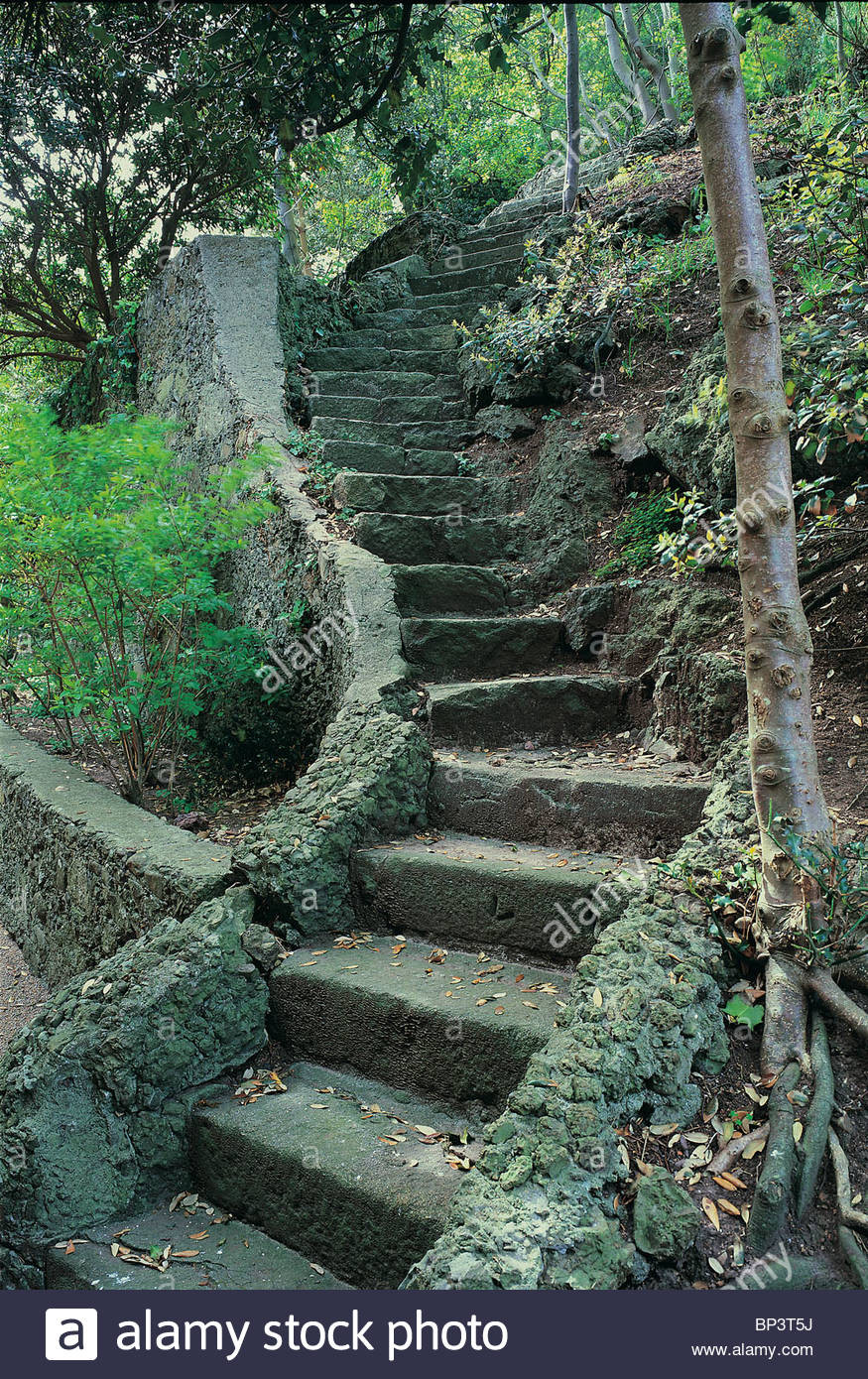 Terrace Landscape Steps
 Winding stone steps in a terraced garden Stock