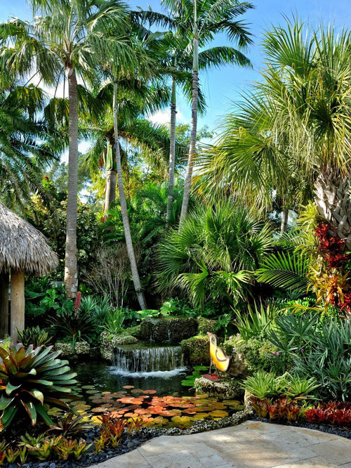 Terrace Landscape Tropical
 Tropical Garden Home Design Ideas Remodel and Decor