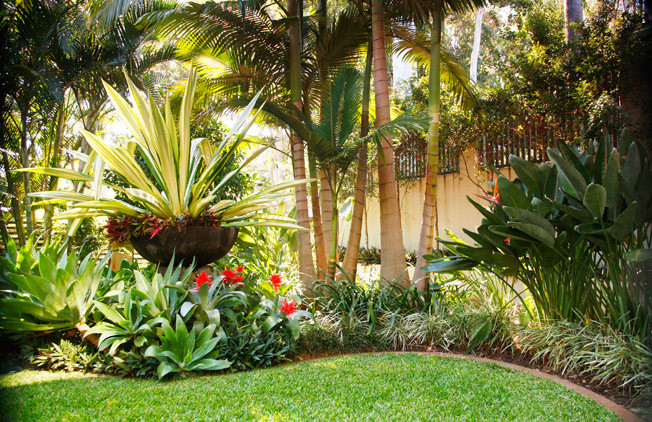 Terrace Landscape Tropical
 Tropical landscape design ideas Gardening flowers 101