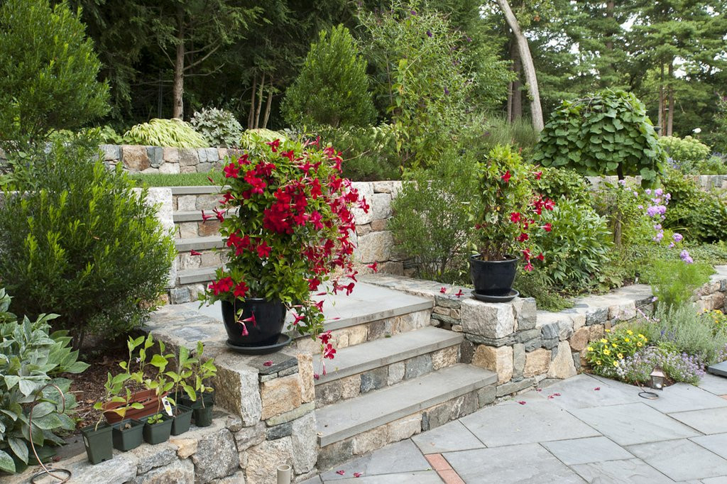 Terrace Landscape With Stairs
 Steps and stairs in garden and landscape design