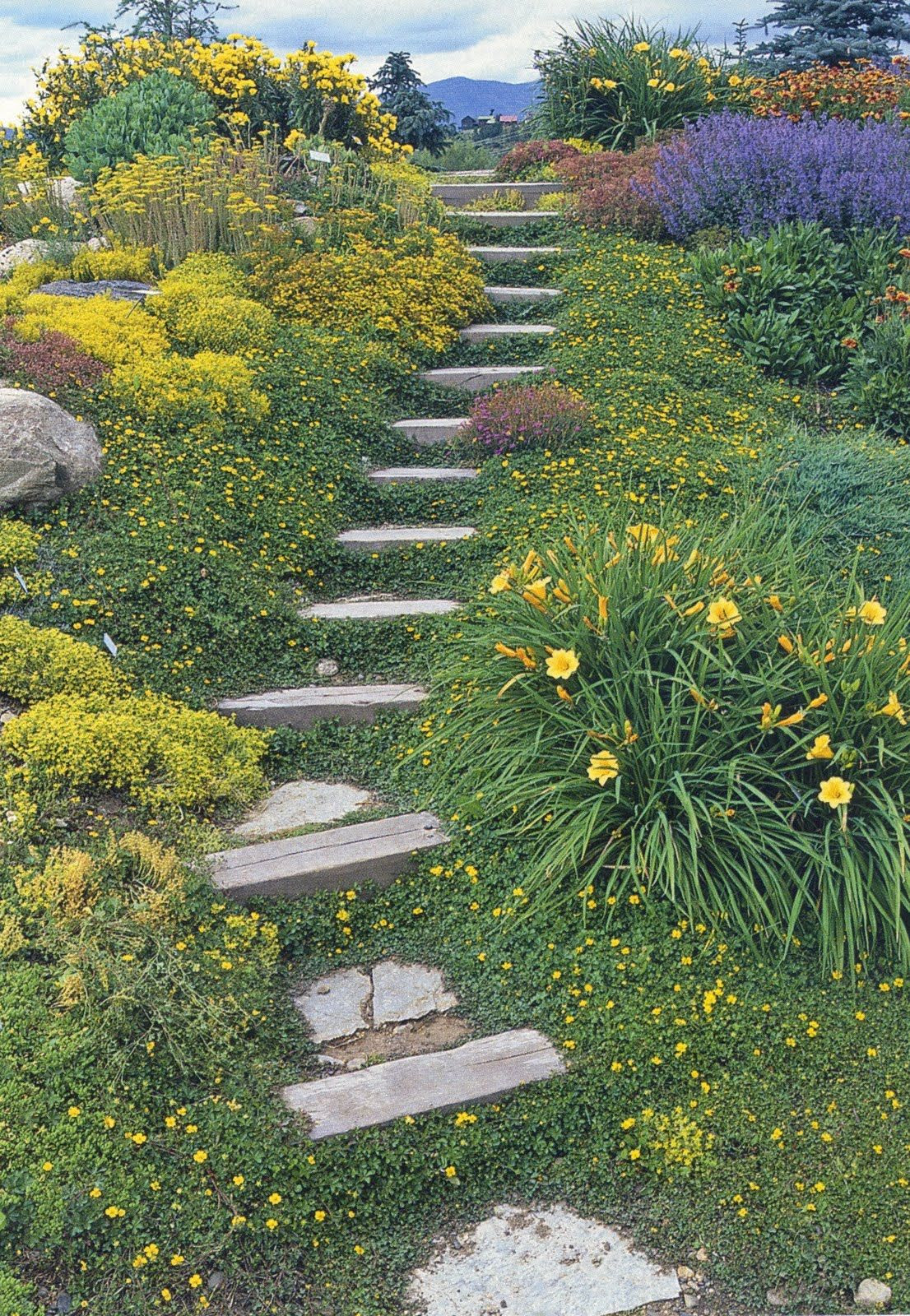 Terrace Landscape With Stairs
 how to build terraces on a hillside