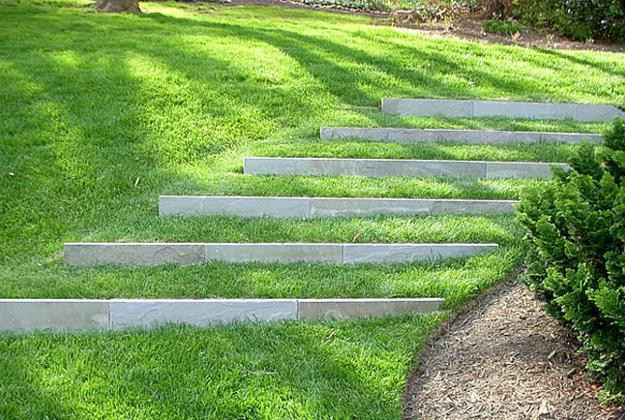 Terrace Landscape With Stairs
 Landscape Stairs A Hill