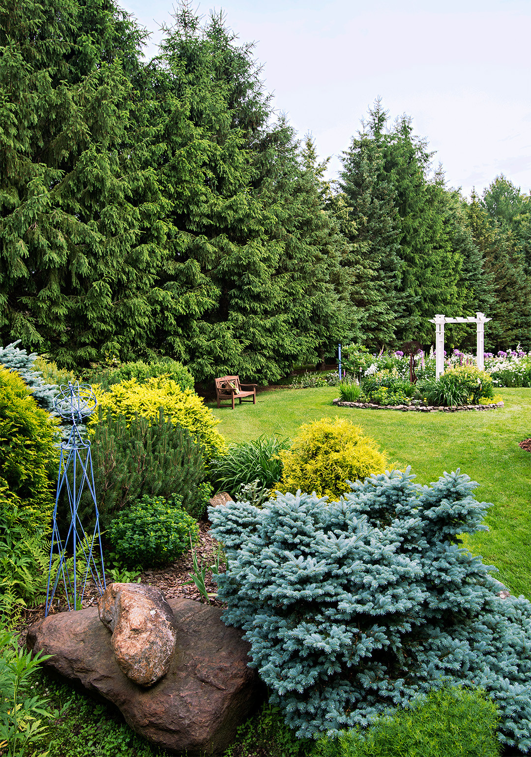 Terrace Landscape With Trees
 10 Outstanding Evergreen Trees for Privacy