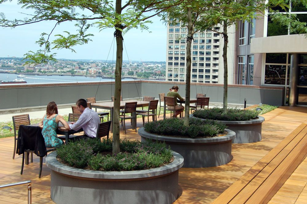 Terrace Landscape With Trees
 trees in planters offer shade at the International