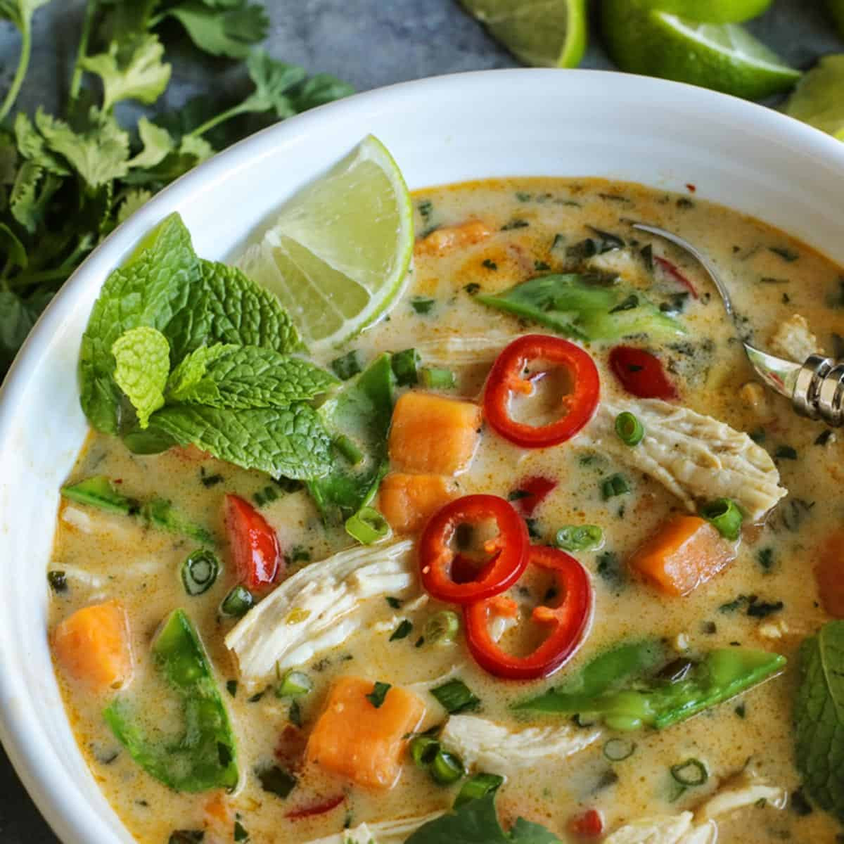Thai Soup Recipes
 Thai Chicken Soup • easy Thai soup • a farmgirl s dabbles