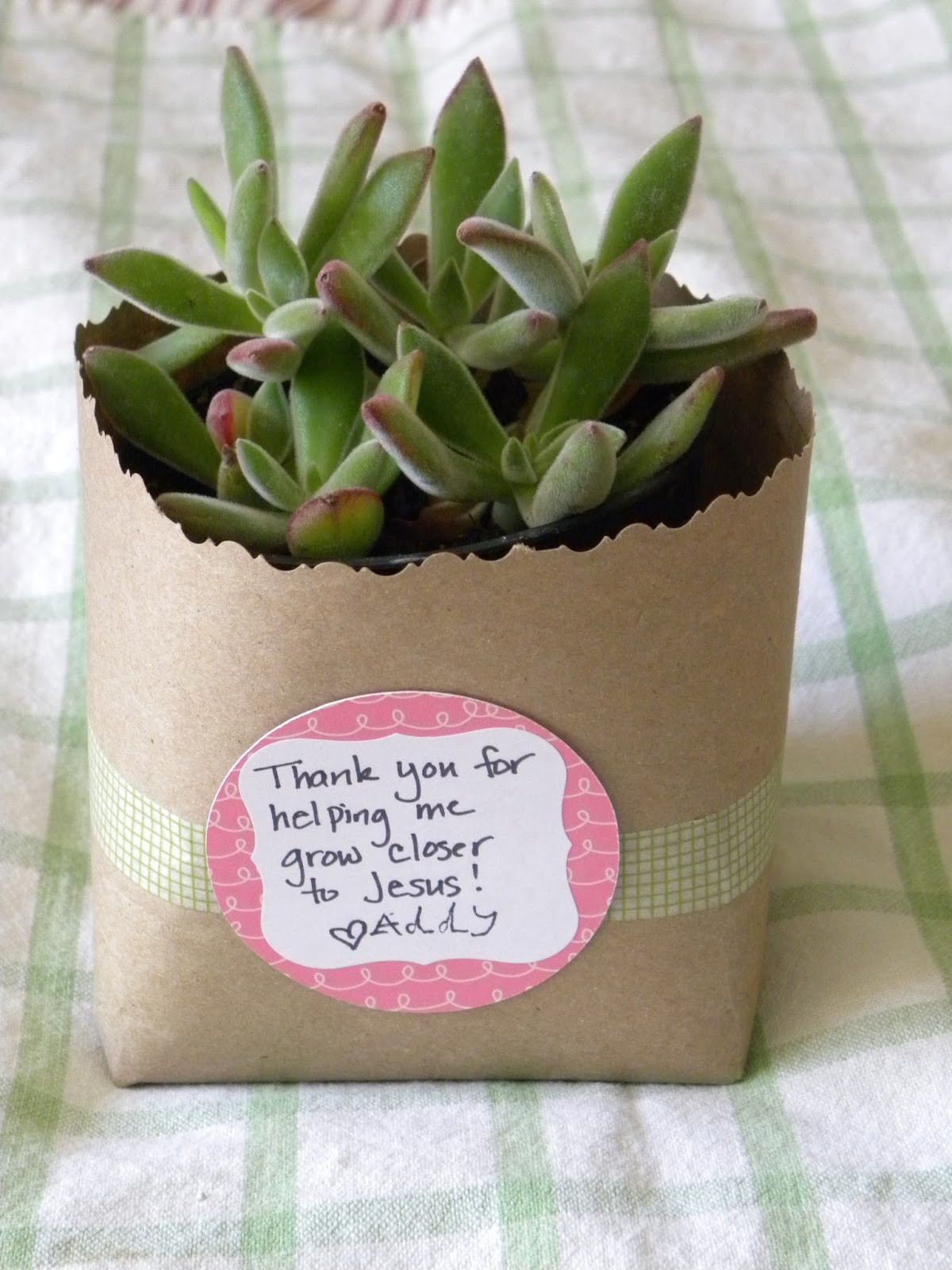 Thank U Gift Ideas
 Blissful Blooms A Simple and inexpensive Thank You Gift