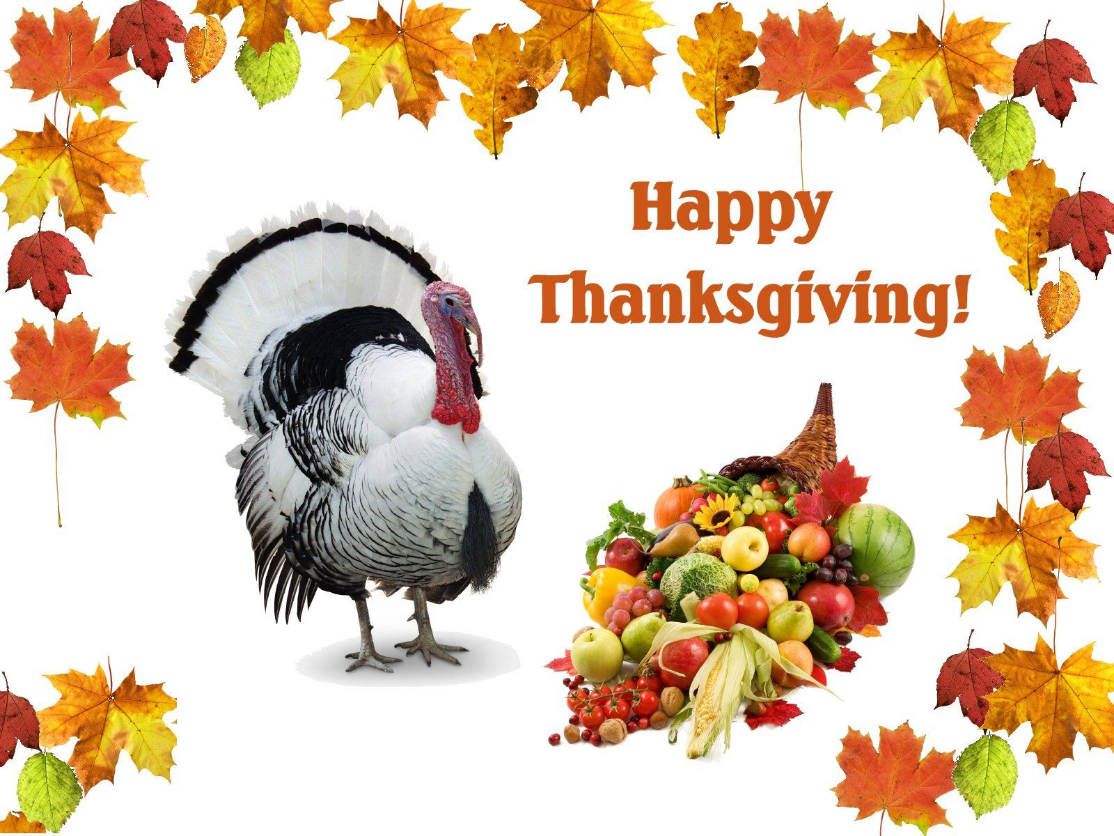 Thanksgiving 3D Wallpaper
 3D Thanksgiving HD Backgrounds