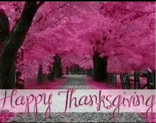 Thanksgiving Quotes Pink
 Really cute PINK thanksgiving